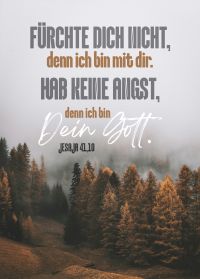 Jahreslosung 2027 - Postkarte Wald im Nebel