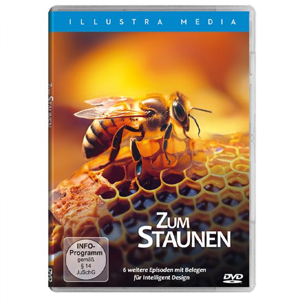 Zum Staunen